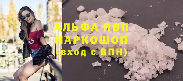 прущие грибы Гусь-Хрустальный