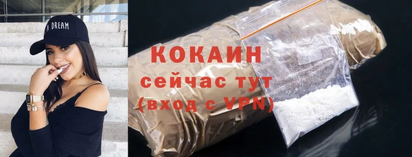 прущие грибы Гусь-Хрустальный