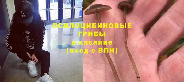 ПСИЛОЦИБИНОВЫЕ ГРИБЫ Дмитриев