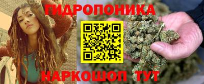 винт Можга
