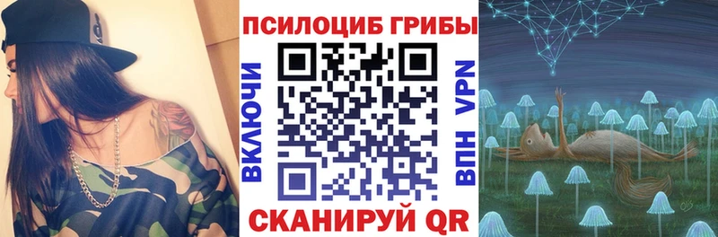 Галлюциногенные грибы мицелий  сколько стоит  Мончегорск 